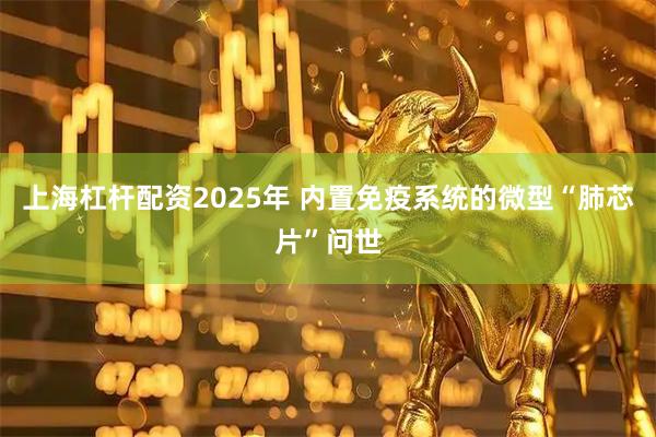 上海杠杆配资2025年 内置免疫系统的微型“肺芯片”问世