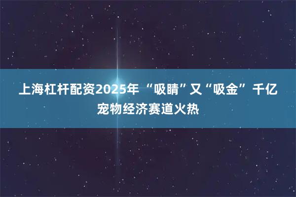上海杠杆配资2025年 “吸睛”又“吸金” 千亿宠物经济赛道火热