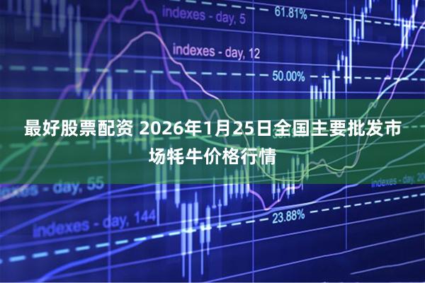 最好股票配资 2026年1月25日全国主要批发市场牦牛价格行情