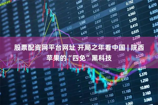 股票配资网平台网址 开局之年看中国 | 陕西苹果的“四免”黑科技